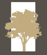 Logo Natimmo 